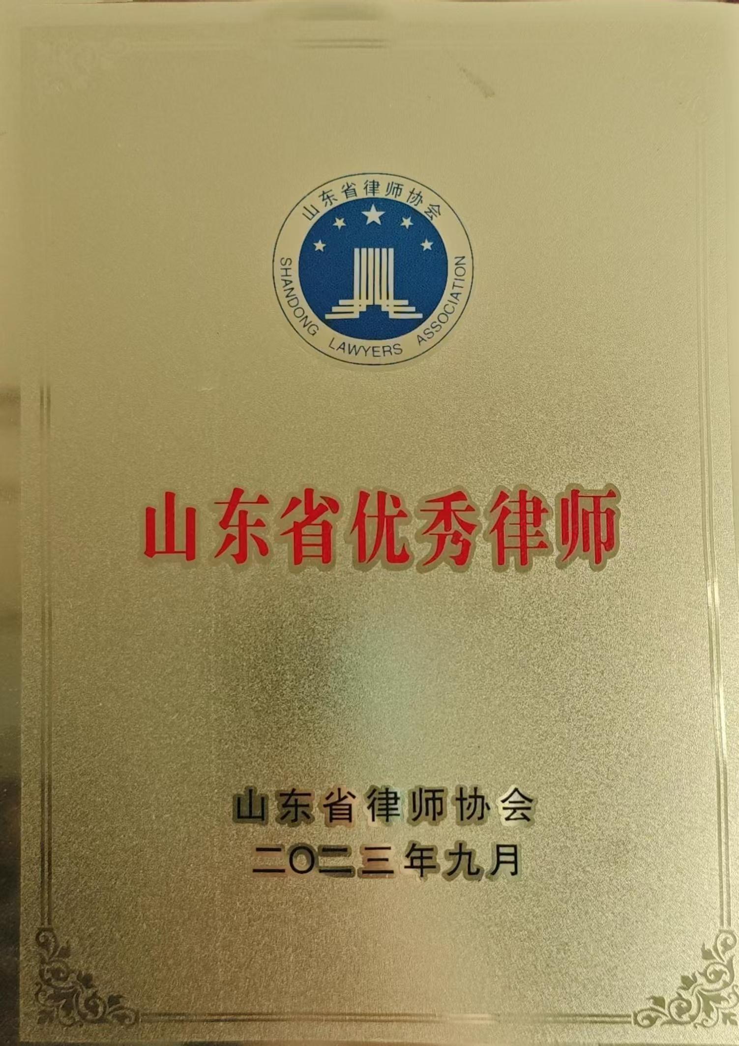 2023年度山东省优秀律师-丁清春
